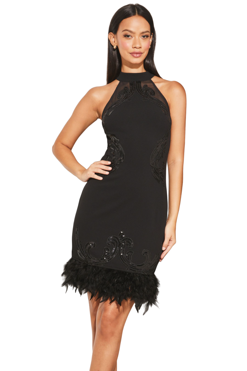 Lipsy sequin feather dress best sale