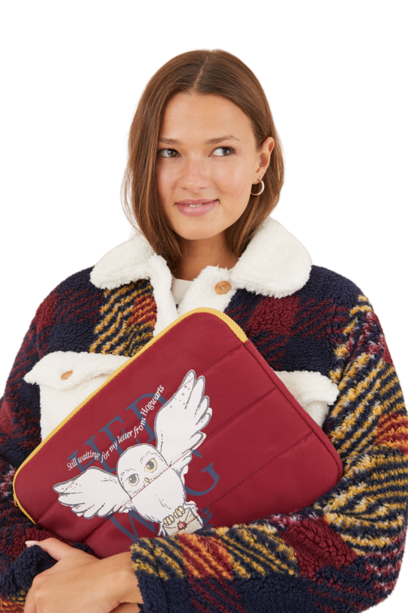 Harry Potter padded carrying case