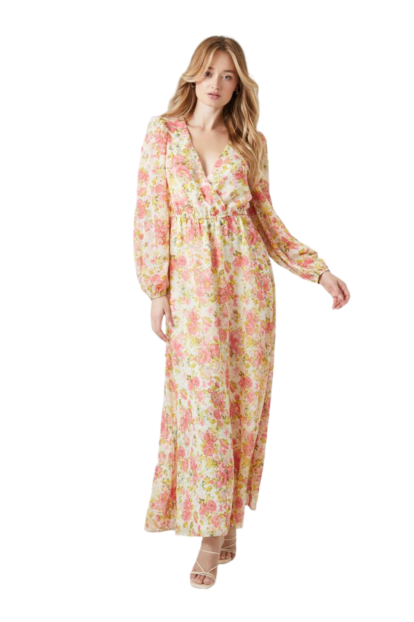 Floral Print Chiffon Maxi Dress