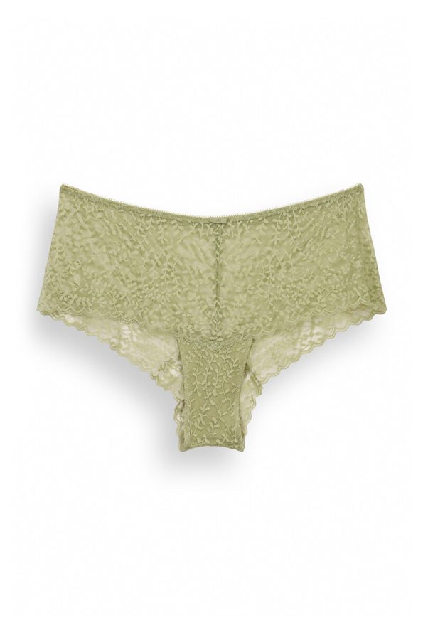 Embroidered Wide Brazilian Panty