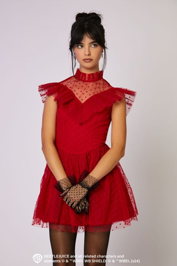 Beetlejuice Mesh Mini Dress