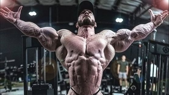 Gli Steroidi: Cosa Sono e Come Influiscono sul Corpo Gli Steroidi: Cosa Sono e Come Influiscono sul Corpo